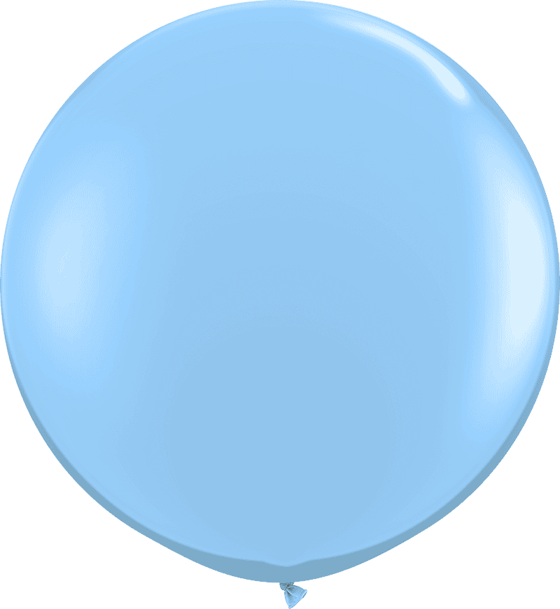 Light Blue<br>PMS 2905