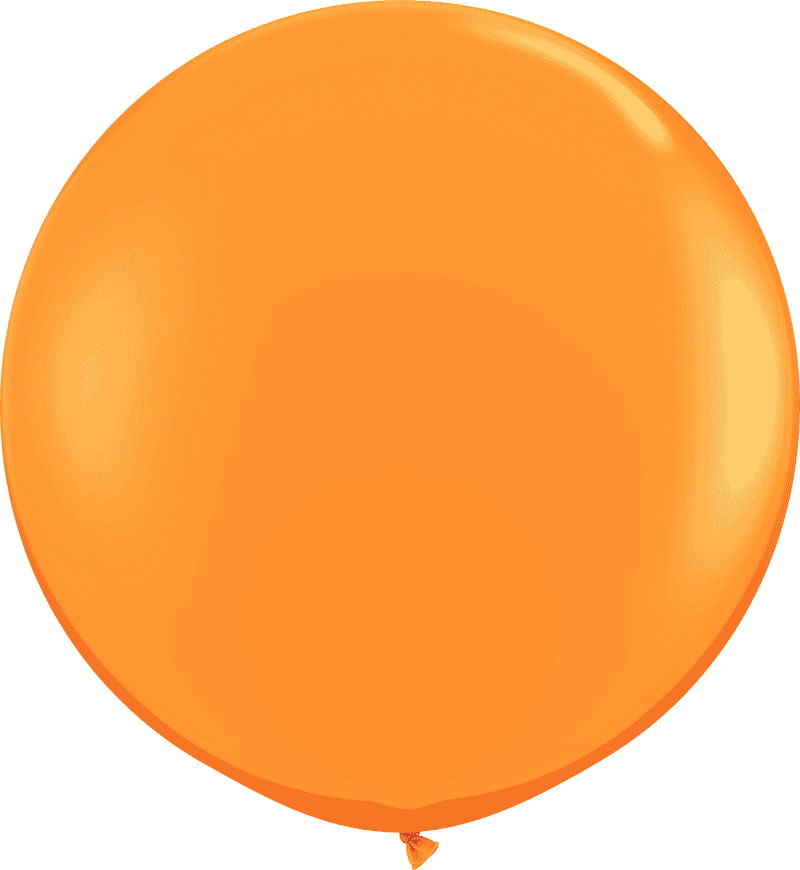 Orange<br>PMS 1495